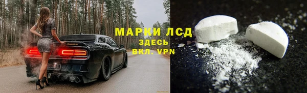 дживик Баксан