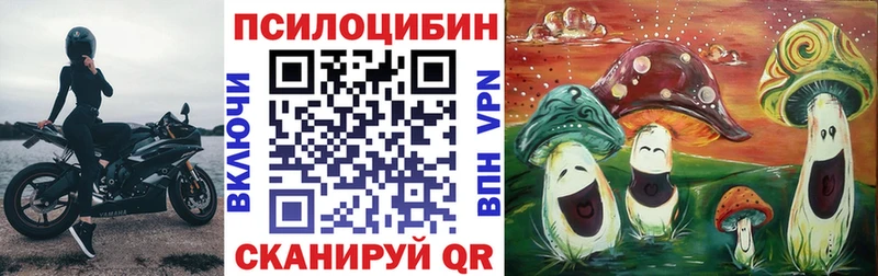 Галлюциногенные грибы Cubensis  купить наркотики сайты  Калининец 